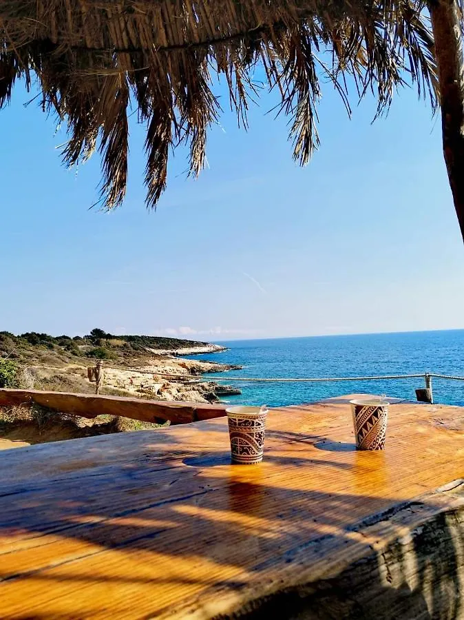 Apartment Andreas - Amphitheater With Free Parking- Pula 0*,  Croatia