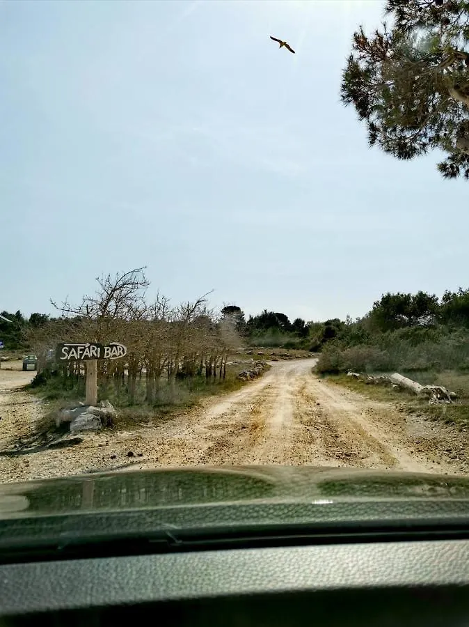 Apartment Andreas - Amphitheater With Free Parking- Pula