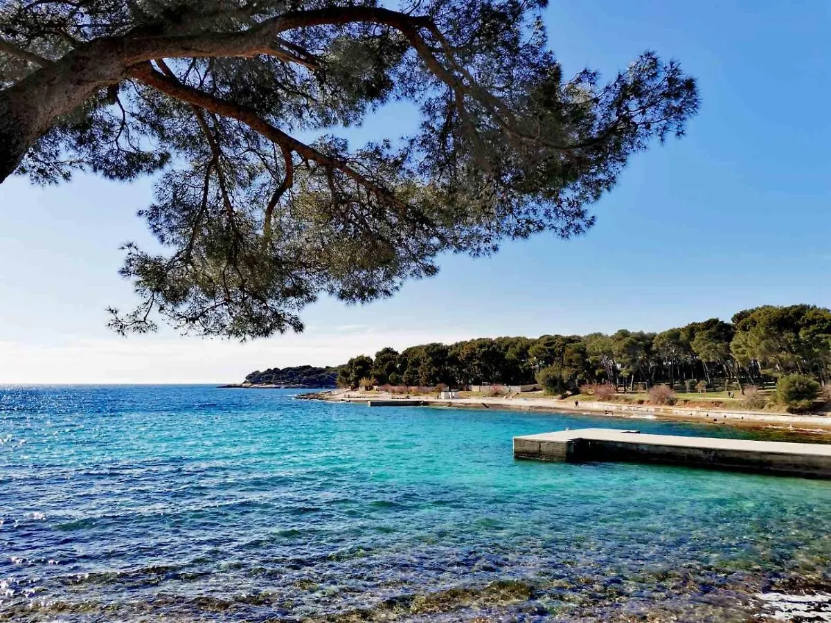 Apartment Andreas - Amphitheater With Free Parking- Pula